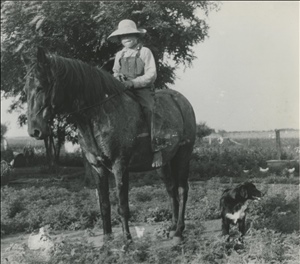 harold mccall on his horse 2017-252.jpg